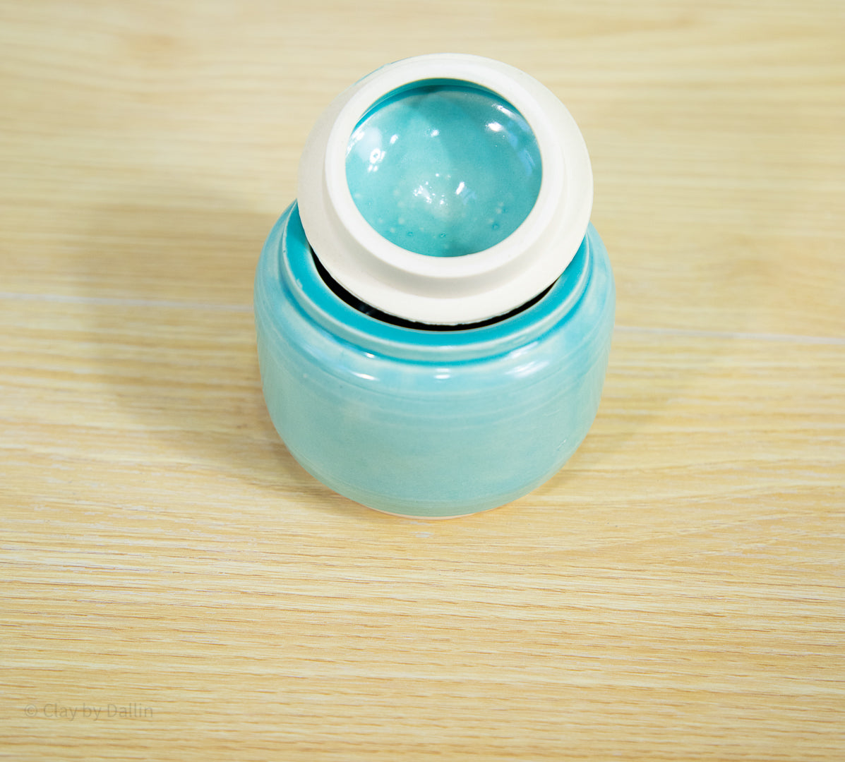 Sea Turtle Jar