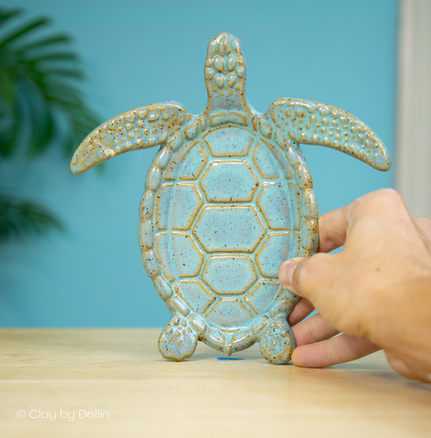 Sea Turtle Dish