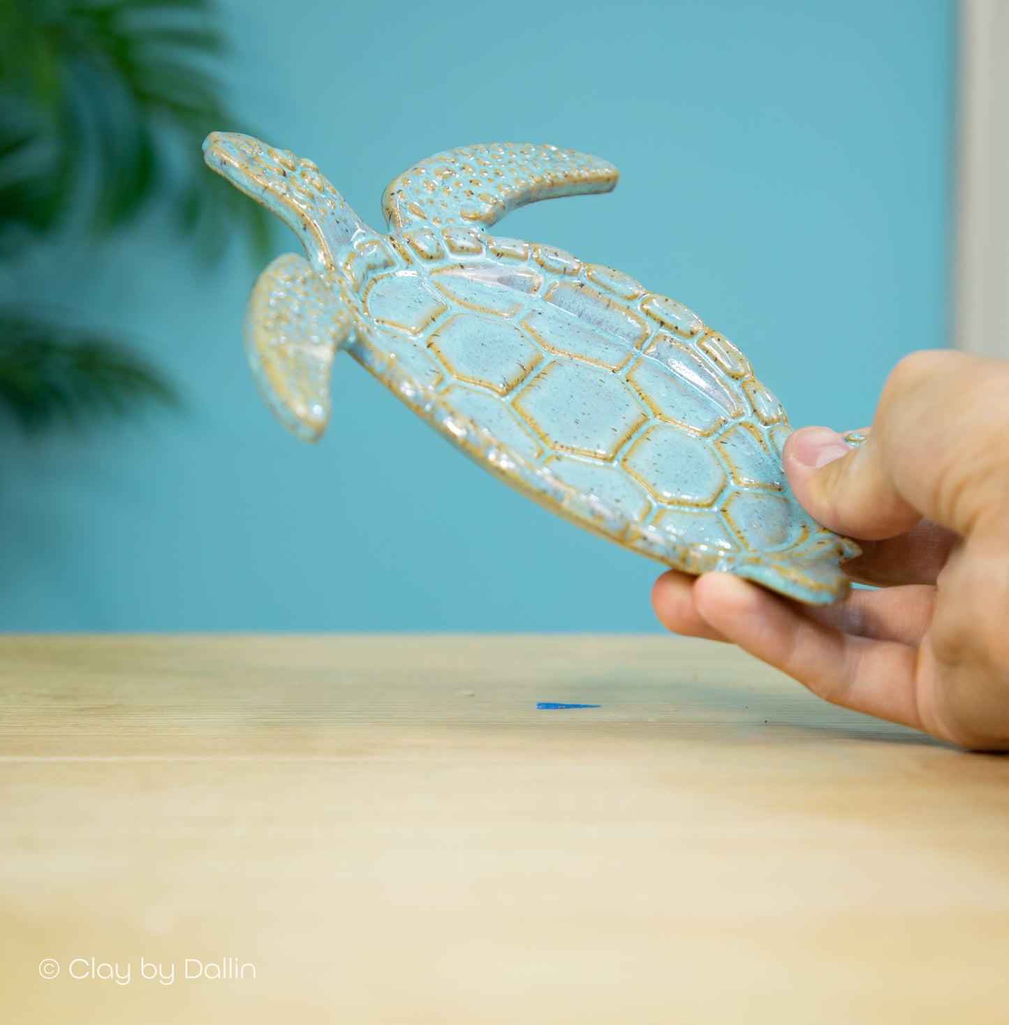 Sea Turtle Dish