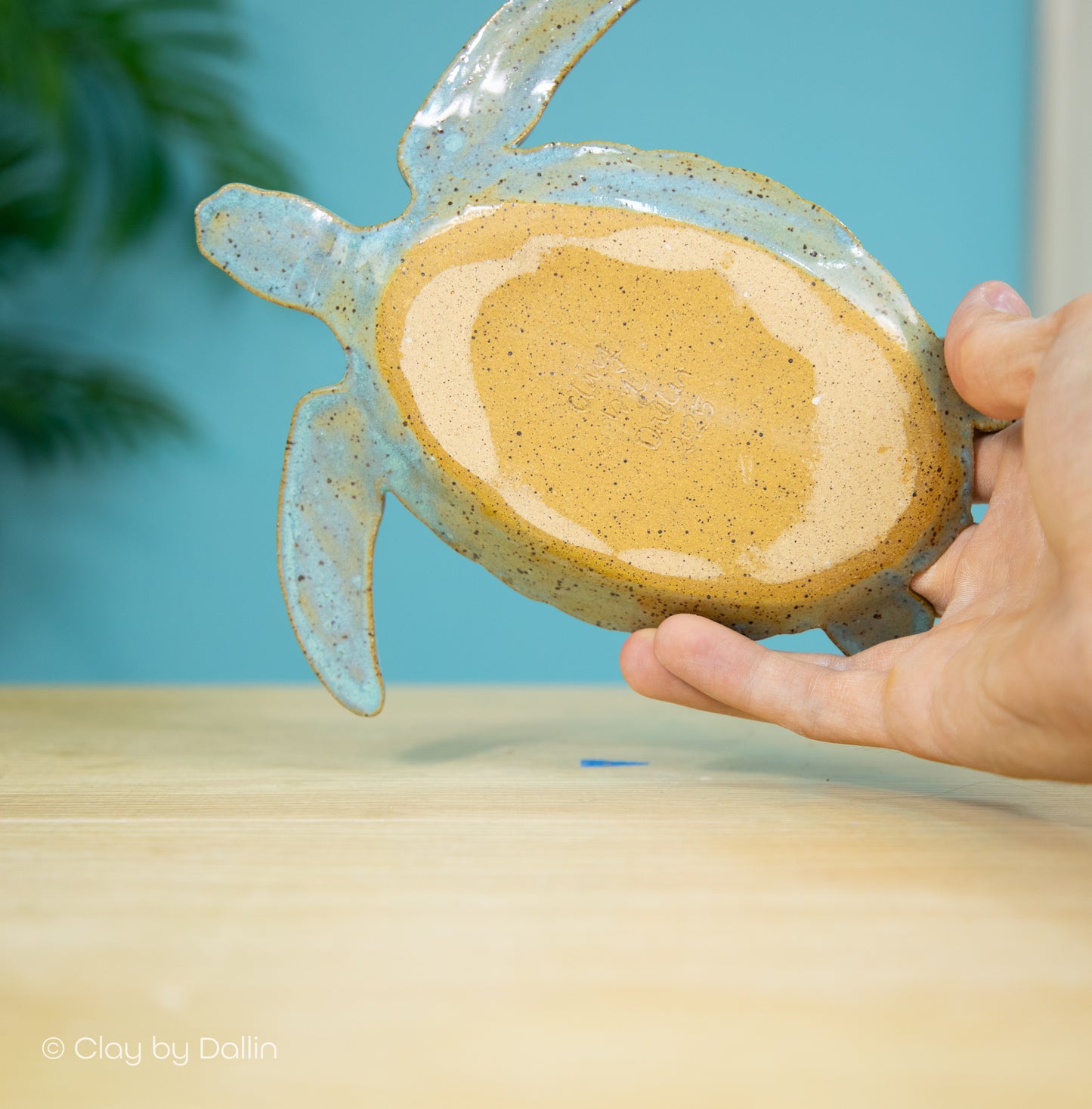 Sea Turtle Dish